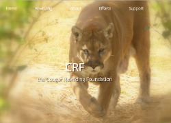 Cougar Rewilding Foundation
